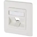 Metz Connect 130B20D11002KE Prise réseau encastré insert avec plaque centrale et châssis non équipé 1 port blanc pur (RA