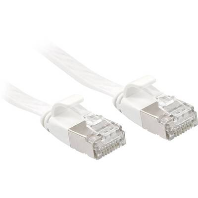 Deux câbles Ethernet blancs avec des connecteurs transparents sont disposés côte à côte.