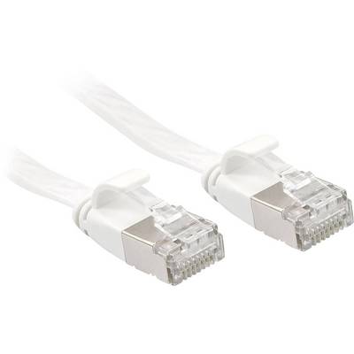 Deux câbles Ethernet blancs munis de connecteurs RJ-45 sont posés côte à côte, leurs ports orientés vers l'avant. Ils sont destinés aux connexions réseau.