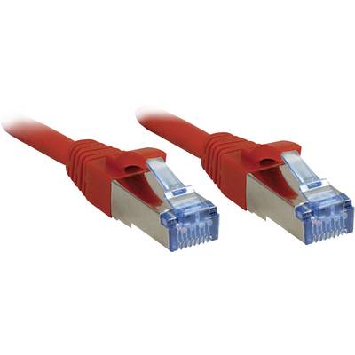 Deux câbles réseau rouges munis de connecteurs métalliques et de clips de fixation en plastique bleu, prêts à connecter des équipements réseau.