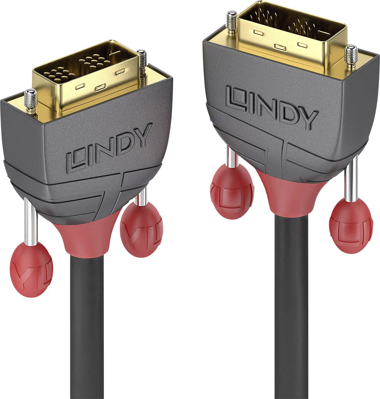 Câble DVI-D de LINDY avec connecteurs dorés et capuchons de vis rouges, adapté aux connexions vidéo numériques.