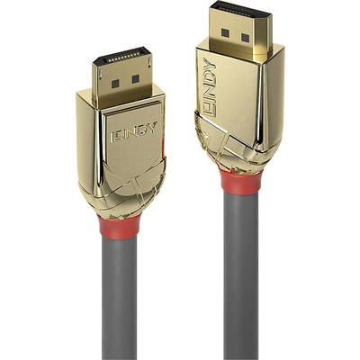 Deux câbles DisplayPort dorés avec des accents rouges, adaptés aux connexions vidéo et audio haute résolution pour ordinateurs et écrans.