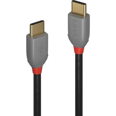 Câble USB-C avec deux fiches grise et rouge, adapté pour le transfert de données et la charge des appareils.