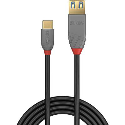 Câble USB-C vers USB-A avec fiches grises et accents rouges, nom de marque 'LINDY' visible.