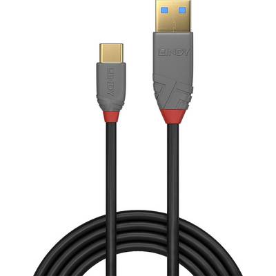 Câble USB avec connecteur USB-A vers connecteur USB-C. Les deux connecteurs sont dotés de boîtiers en plastique gris et d'embouts rouges.