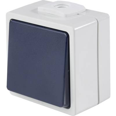 Un interrupteur gris clair avec un bouton-poussoir gris foncé, monté dans un boîtier blanc. Adapté pour une utilisation dans des environnements humides.