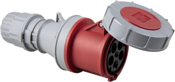 AS Schwabe 400 V 63 A 5-polig 6 h IP67 60428 Femelle CEE 63 A 5 pôles 400 V 1 pc(s)