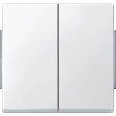 Interrupteurs doubles blancs sur un fond gris. Les interrupteurs sont disposés côte à côte et présentent un design épuré et moderne.