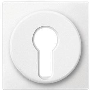 Merten Cache System M blanc polaire 318119 1 pc(s)
