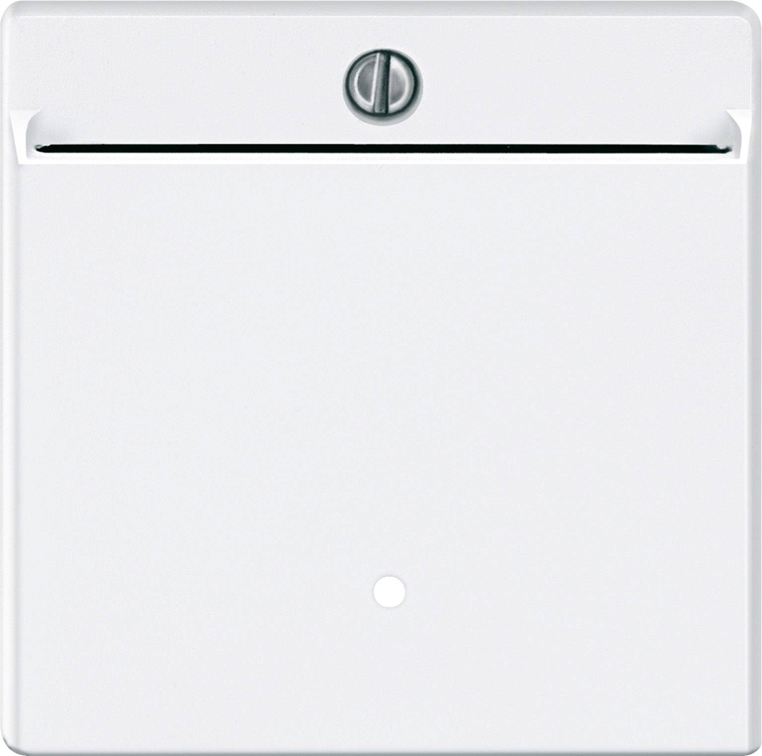 Merten Cache System M blanc polaire 315419 1 pc(s)
