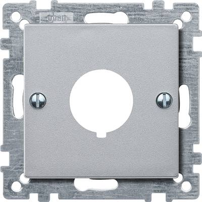 Plaque de couverture carrée en argent avec un trou central et deux vis sur les côtés, montée sur un cadre de fixation.