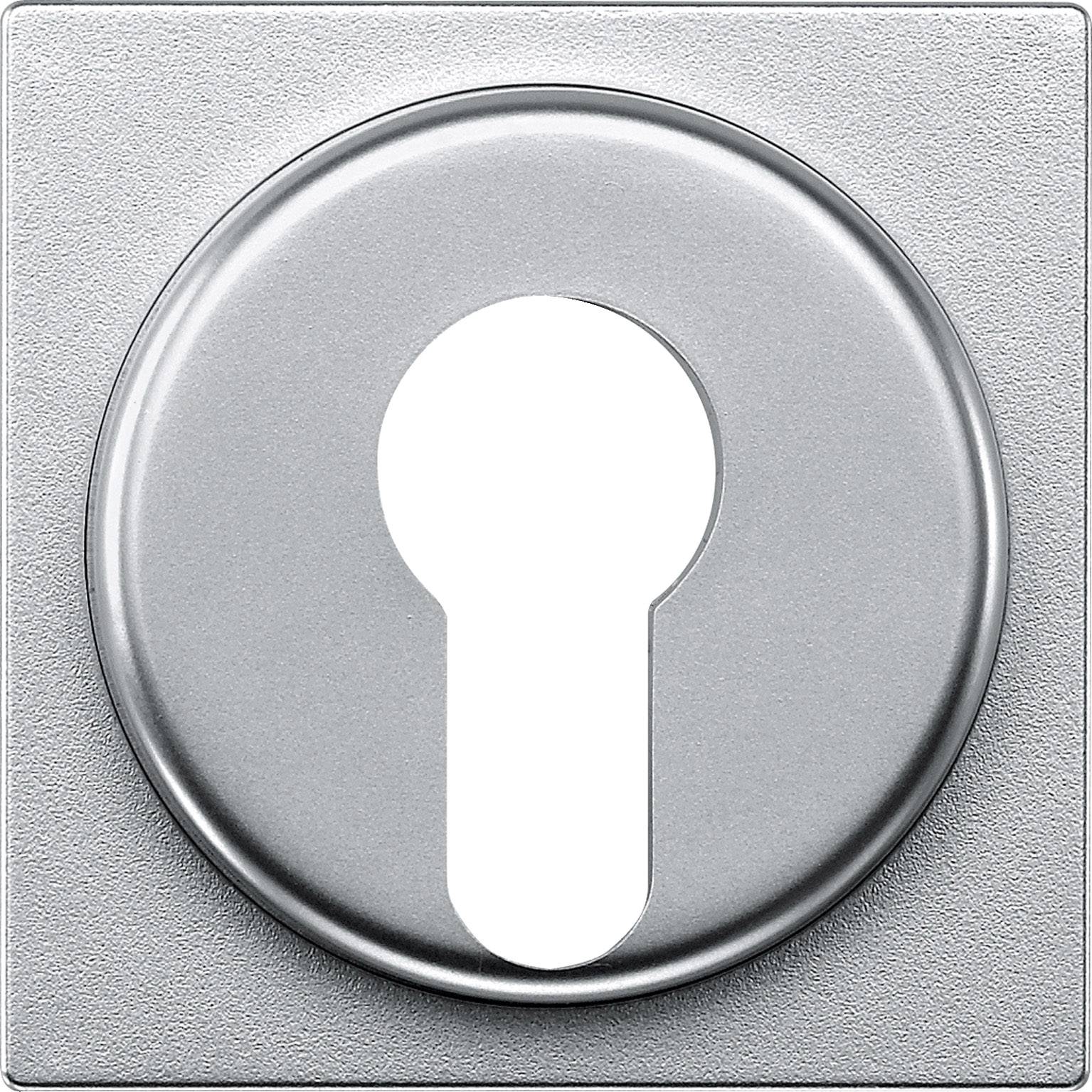 Trou de serrure dans une plaque carrée en argent, souvent utilisé en association avec une poignée de porte.