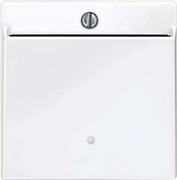 Merten   Cache System M blanc polaire 315619 1 pc(s)