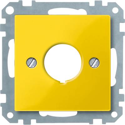 Plaque de couverture jaune avec un trou circulaire au centre, montée sur un cadre métallique carré. Les vis sont visibles.