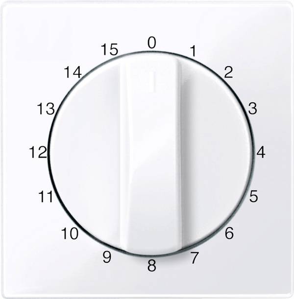 Merten   Cache System M blanc 567425 1 pc(s)