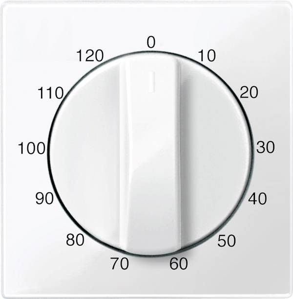 Merten   Cache System M blanc polaire 567519 1 pc(s)