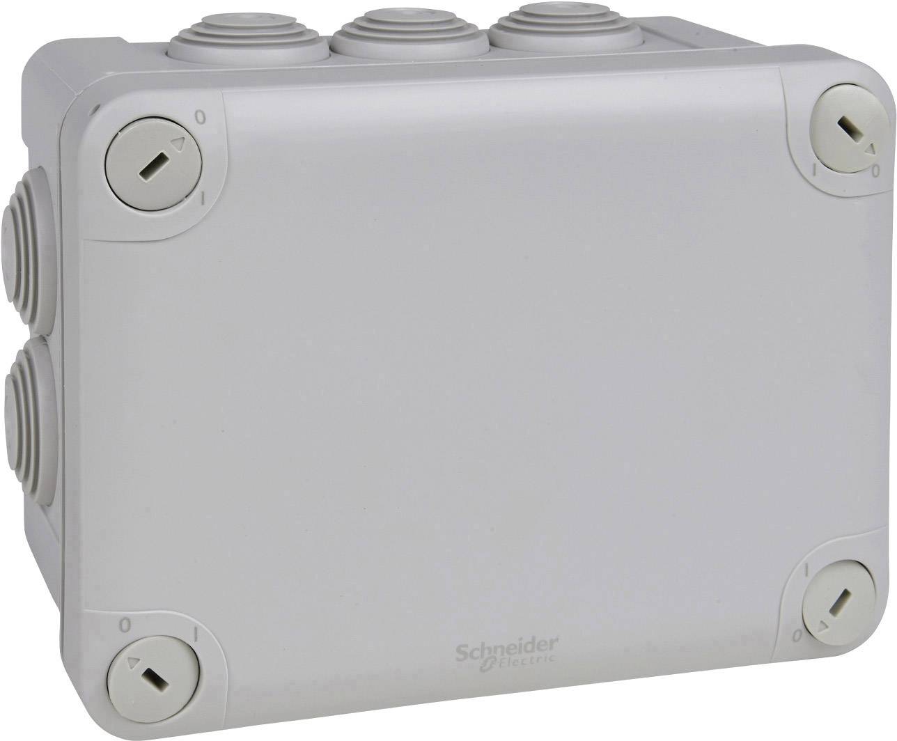 Boîte de dérivation gris-blanc de Schneider Electric avec ouvertures latérales pour câbles.