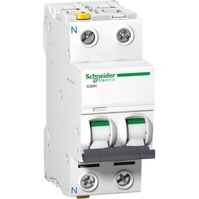 Un disjoncteur bipolaire de marque Schneider Electric, modèle iC60H, avec deux interrupteurs à bascule et des repères bleus 'N'.