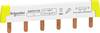 Schneider Electric A9XPH106 Acti9 iC60 - Peigne à dents A9XPH106 Schneider Electric Rail de phase blanc 1 pc(s)