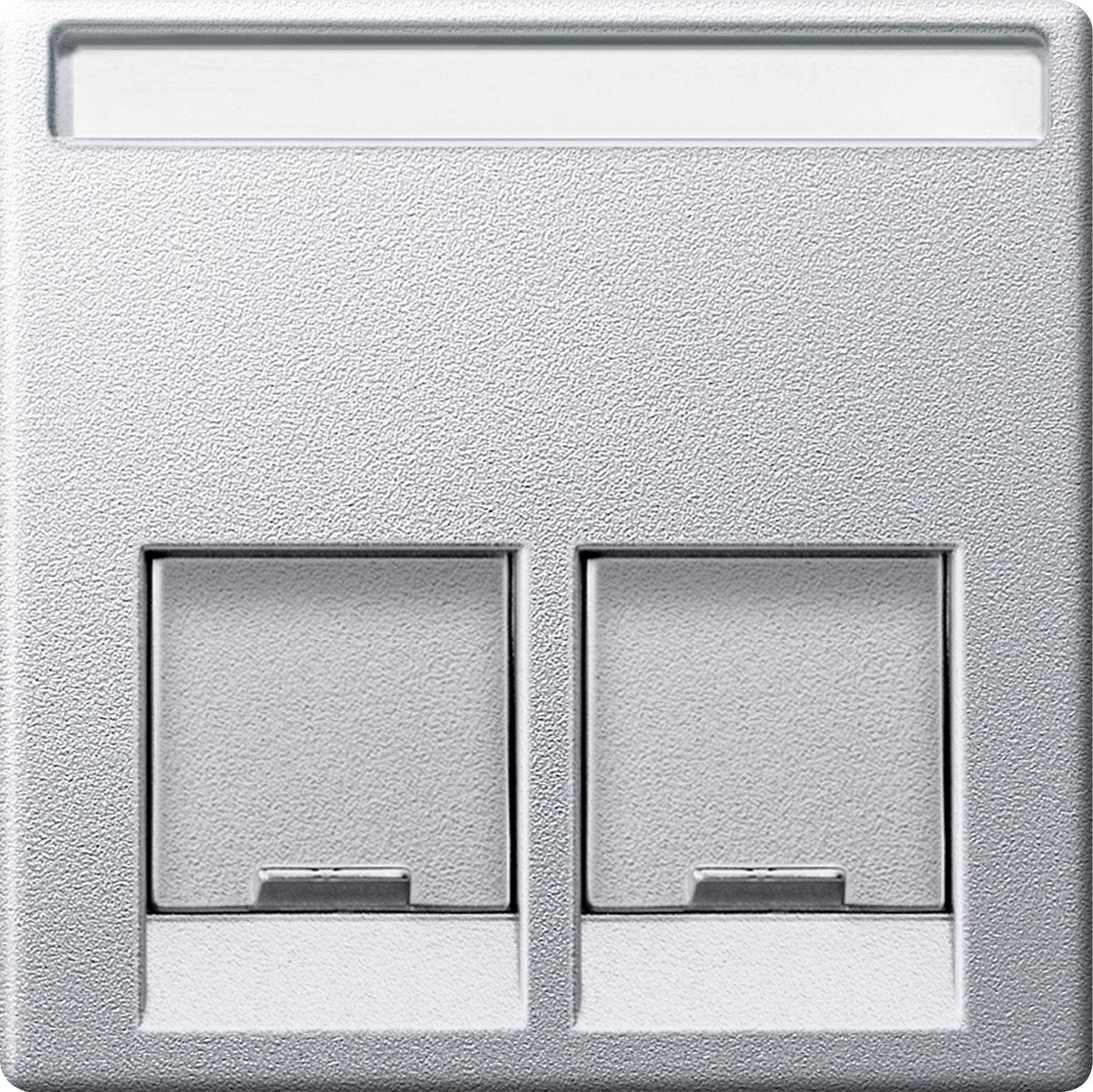 Deux prises RJ45 sur une plaque murale argentée. Un champ d'étiquetage blanc est situé en haut.