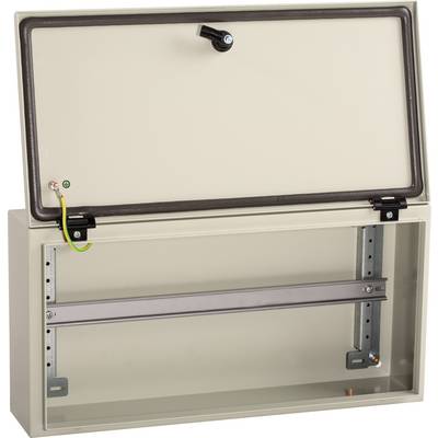 Schneider Electric NSYS3DB25515 Boîtier 500 x 250 x 150 acier gris clair (RAL 7035) 1 pc(s)-0