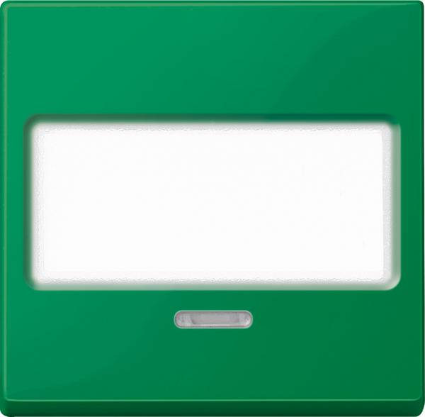 Merten  Cache Interrupteur va-et-vient System M vert MEG3370-0304 1 pc(s)