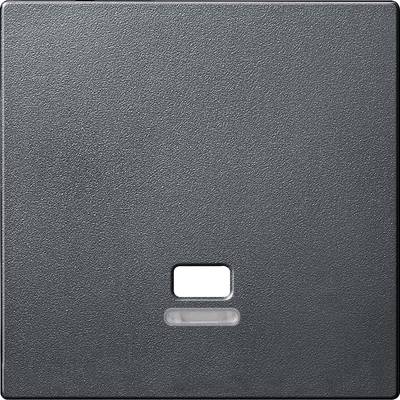 Un interrupteur sombre et carré avec une petite zone rectangulaire surélevée au centre et, en dessous, une fine bande horizontale.