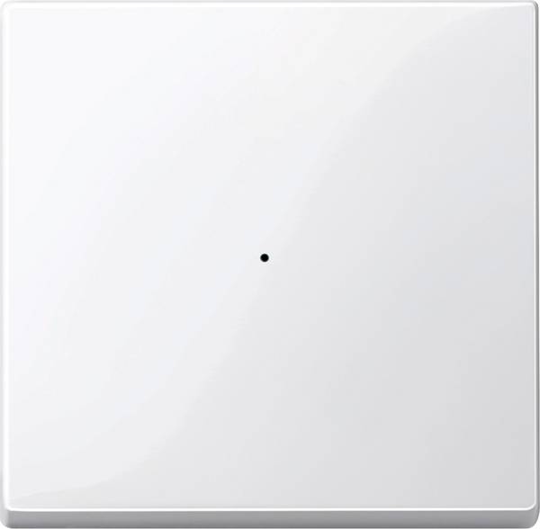 Merten  Cache Bouton-poussoir  blanc polaire MEG5210-0319 1 pc(s)