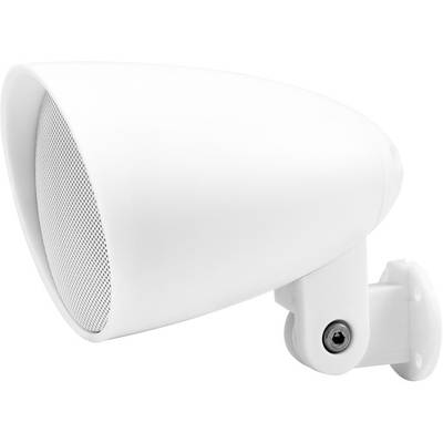 Un haut-parleur blanc fixé au mur, avec un boîtier arrondi, dont la grille de haut-parleur est visible.