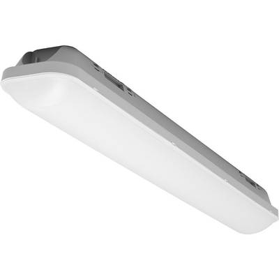 Radium Dampproof Luminaire à LED étanche  LED LED intégrée 36 W blanc neutre gris