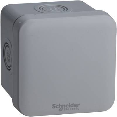 Boîtier carré en plastique gris avec l'inscription 'Schneider Electric' en bas. Adapté aux applications industrielles ou électriques.