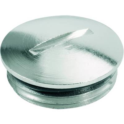 Vis métallique ronde à tête fendue avec surface brillante.