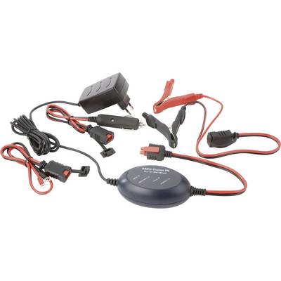 Chargeur pour batteries au plomb IVT PL-782B 12 V 1 pc(s)-0