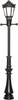 Lanterne à gaz simple Viessmann Modelltechnik 6396 modèle fini H0 1 pc(s)