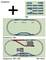 Configuration de voies pour train miniature : L'illustration supérieure présente la disposition de base, les illustrations inférieures montrent les extensions avec dimensions et packages complémentaires.