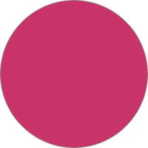 Un cercle rouge sur un fond blanc.
