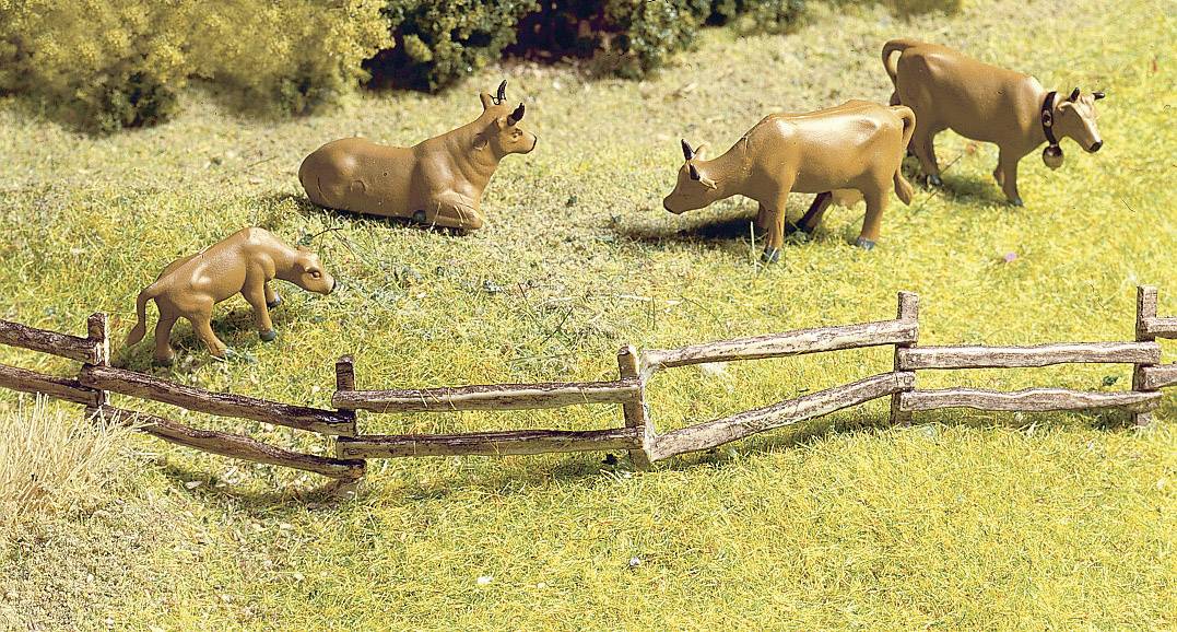 Quatre vaches brunes sont debout et couchées dans un pré derrière une clôture en bois. Des arbres sont visibles en arrière-plan.