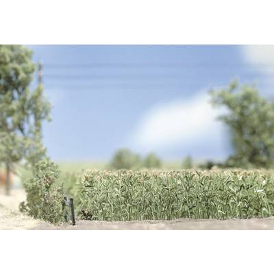 Un modèle miniature d'un paysage rural avec un champ de maïs au premier plan, des arbres en arrière-plan et un ciel bleu.