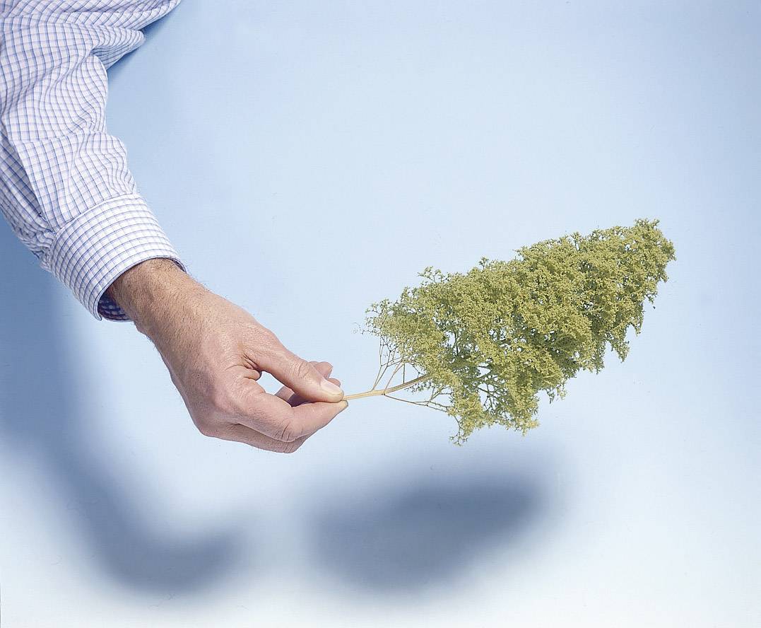 Une main dans une chemise tient un petit modèle d'arbre devant un fond bleu clair.