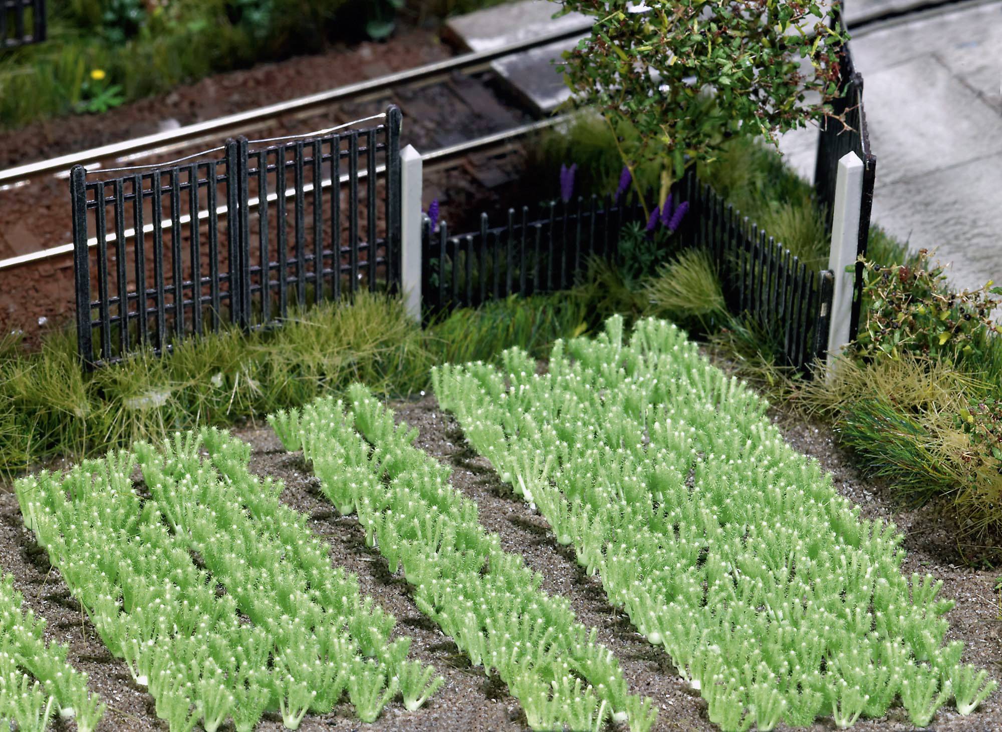 Un jardin modèle avec plusieurs rangées de plantes vertes, à côté d'une petite clôture et de voies ferrées.