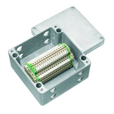 Boîte de distribution métallique avec couvercle ouvert montrant les blocs de bornes internes ; adaptée pour le câblage électrique.
