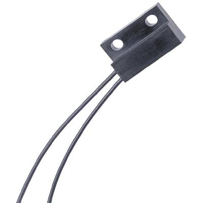 Un petit interrupteur magnétique noir avec deux trous de fixation et deux câbles servant de connexion.