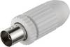 Fiche d'antenne femelle Hirschmann 947 547-100 Ø de câble (détails): 7.8 mm 2 pc(s)