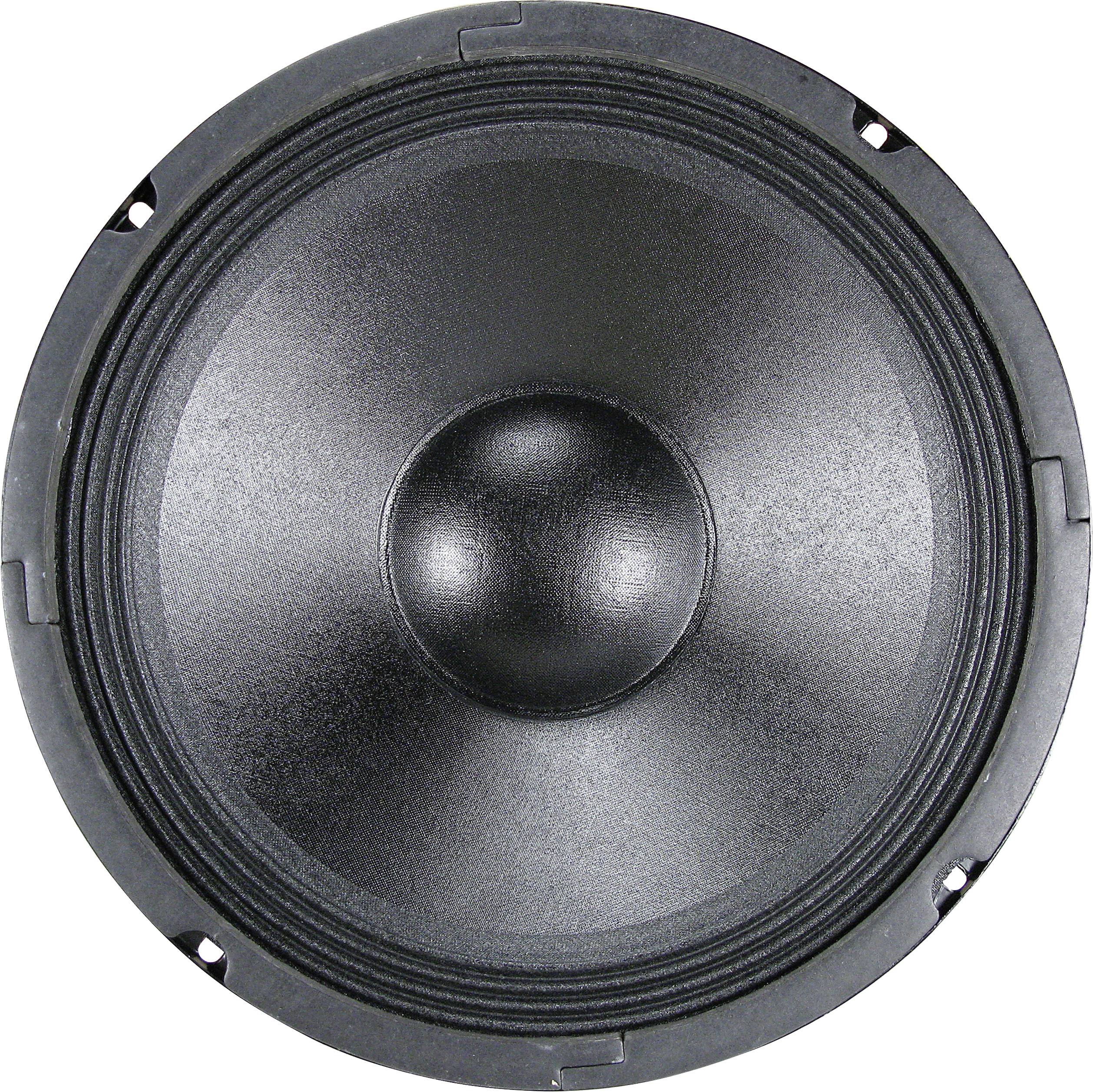 Hautparleur 10" Renkforce CPA PA10 Conrad.fr