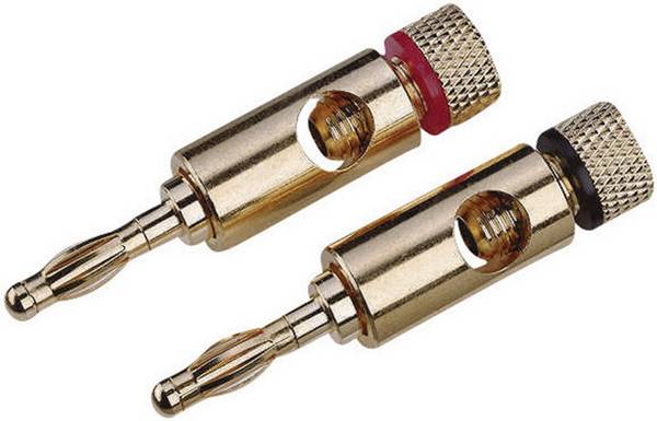 Fiche haut-parleur mâle, droit  High-End Nombre de pôles: 1  or 2 pc(s)