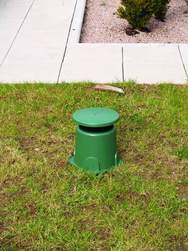 Un champignon vert de ventilation dépasse de la pelouse dans un jardin, près d'une zone pavée.