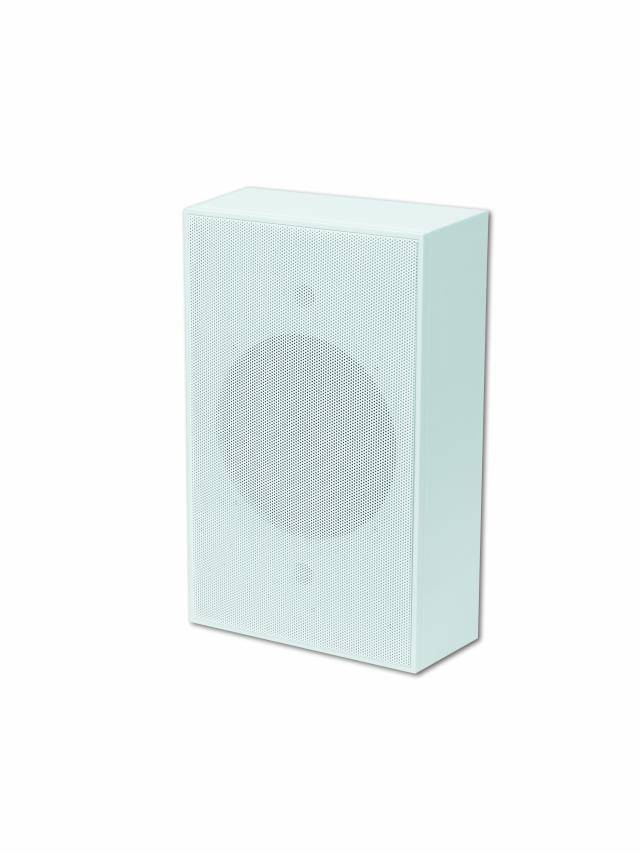 Un haut-parleur rectangulaire blanc avec une grille visible sur la façade.