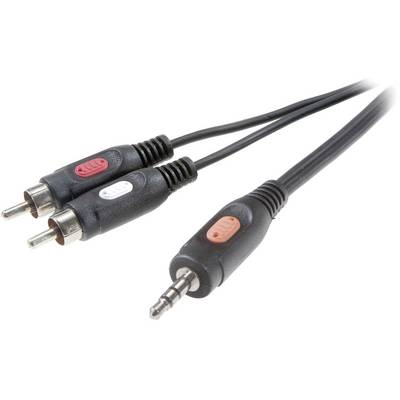 Un câble avec une fiche jack stéréo de 3,5 mm et deux fiches RCA, respectivement en rouge et blanc, pour les connexions audio.