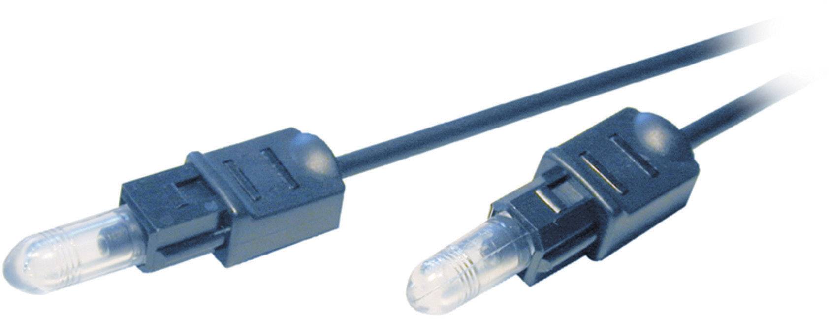Deux câbles audio optiques noirs avec des connecteurs transparents sont disposés parallèlement l'un à l'autre. Ils sont destinés à la transmission de signaux numériques.
