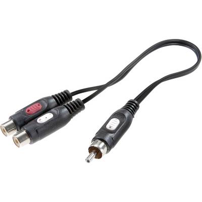 Un câble adaptateur noir avec une fiche RCA divisée en deux ports - un rouge et un blanc.